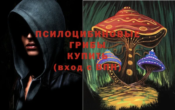 мескалин Балахна