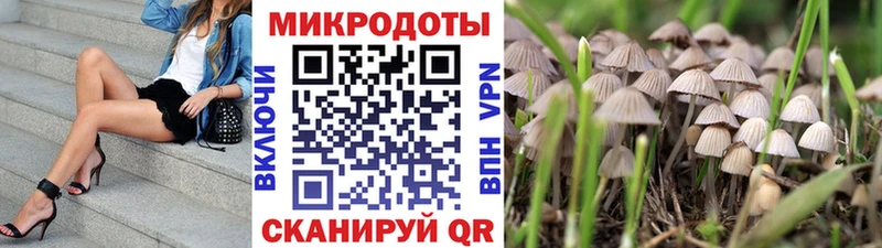Псилоцибиновые грибы мицелий  дарк нет формула  Гвардейск  закладки 